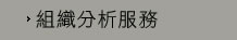 組織分析服務